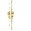 Polished Brass