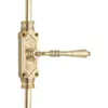 Polished Brass